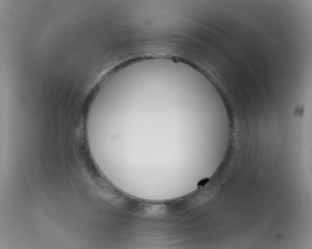 X0000112800355200908211008