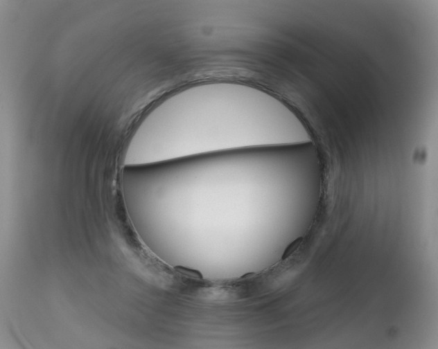 X0000112800356200908211008