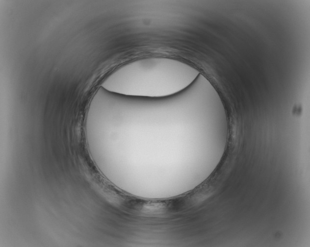 X0000112800357200908211008