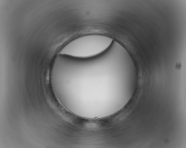 X0000112800358200908211008