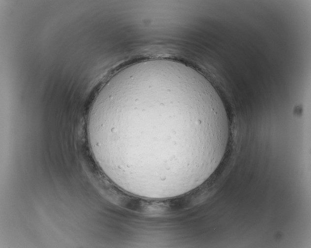 X0000112800359200908211008
