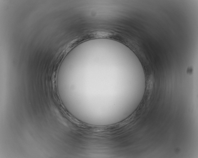 X0000112800360200908211008