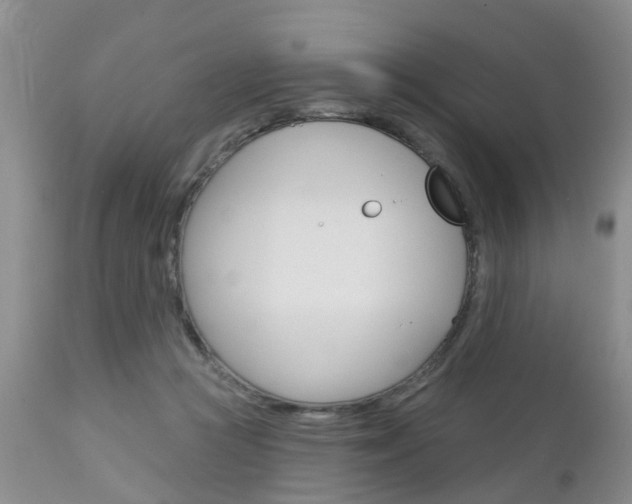 X0000112800361200908211008