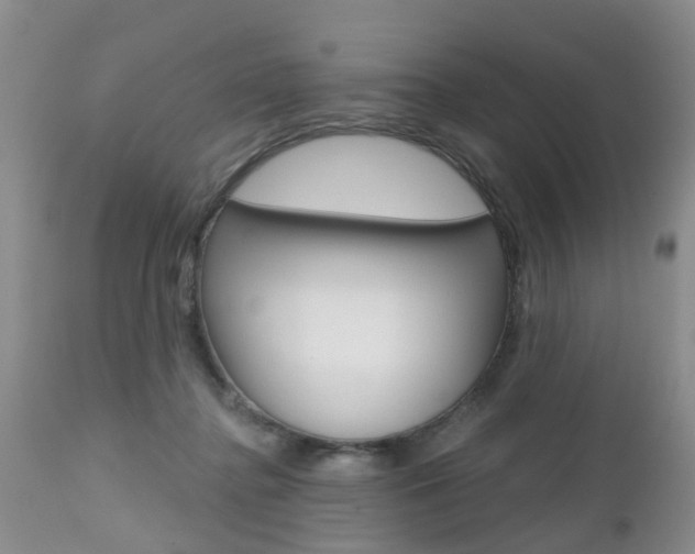 X0000112800364200908211008