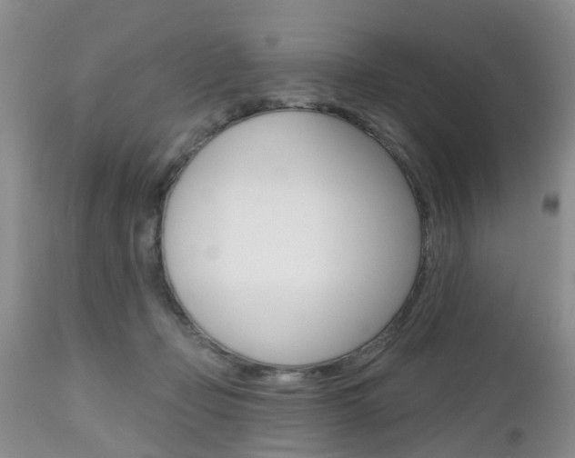 X0000112800365200908211008