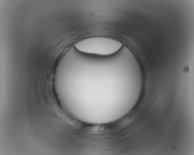 X0000112800366200908211008