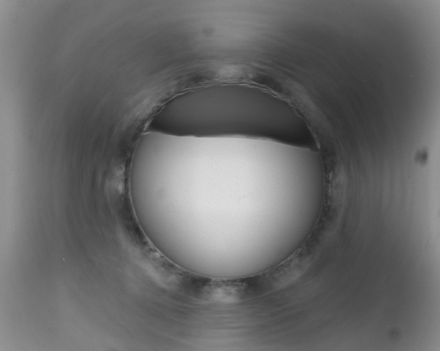 X0000112800368200908211008