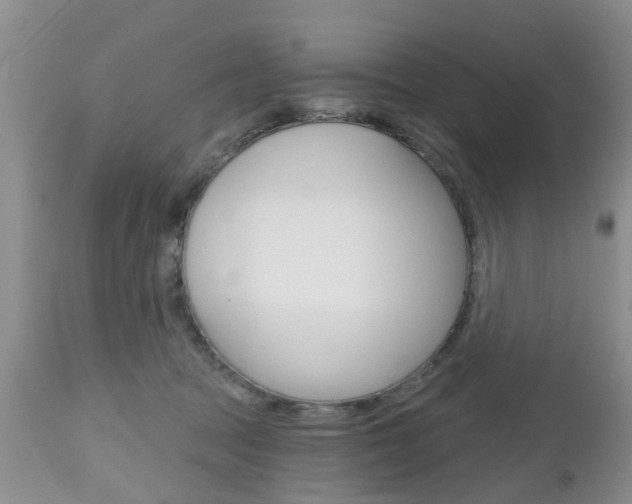 X0000112800369200908211008