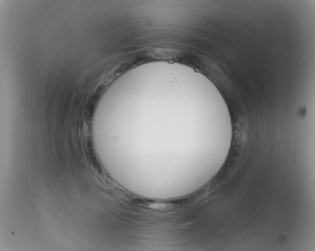 X0000112800371200908211008