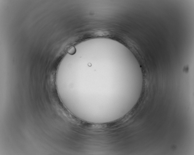 X0000112800373200908211008