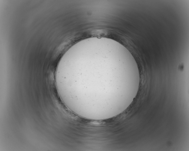 X0000112800375200908211008