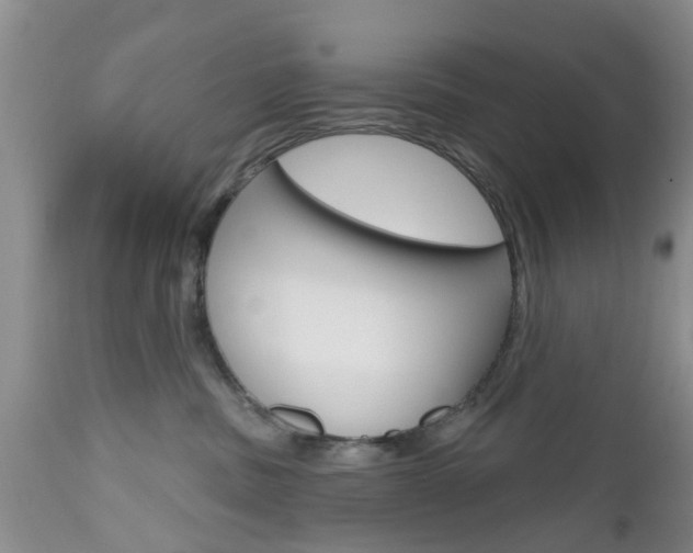 X0000112800379200908211008