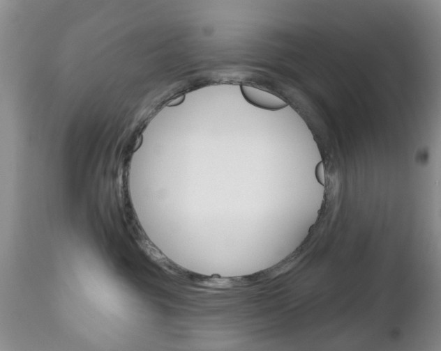 X0000112800381200908211008