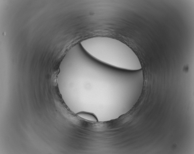 X0000112800383200908211008