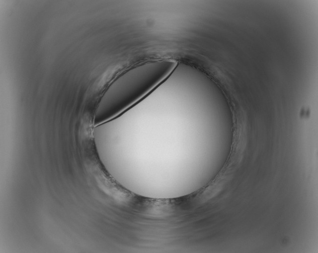 X0000112800384200908211008