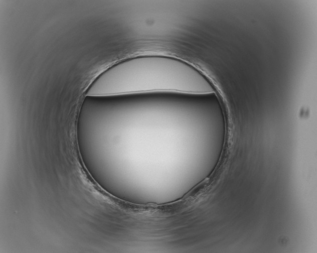 X0000112800385200908211008
