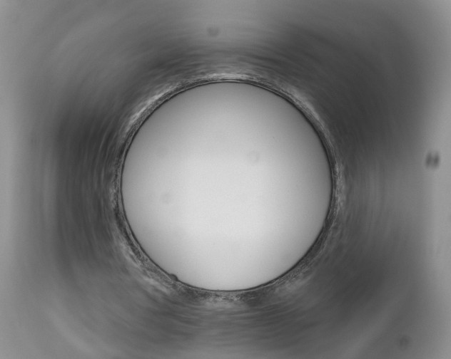 X0000112800386200908211008