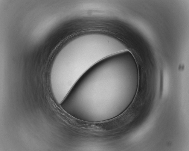 X0000112800387200908211008