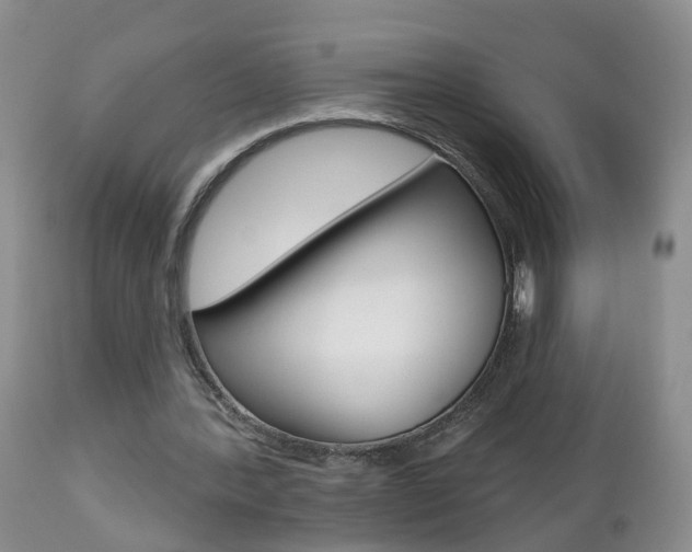 X0000112800388200908211008