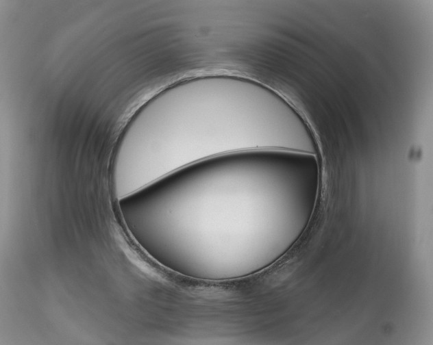 X0000112800389200908211008