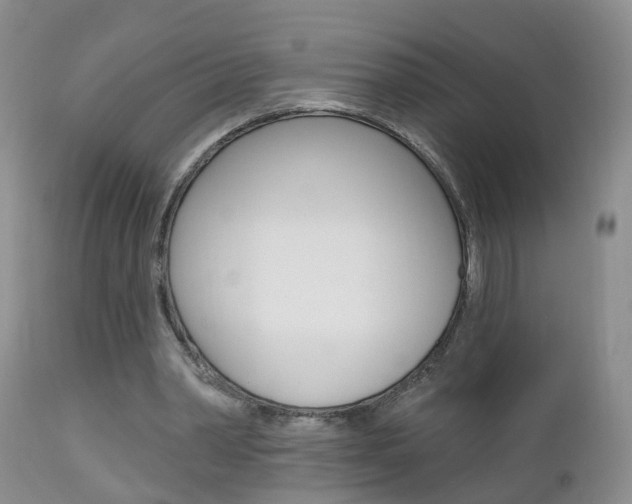 X0000112800390200908211008