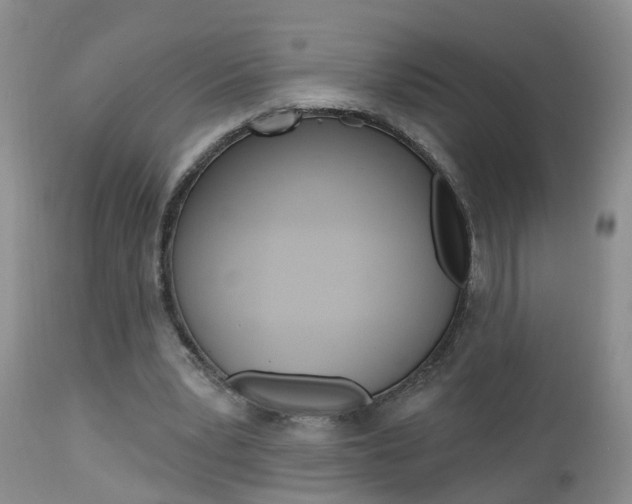 X0000112800391200908211008