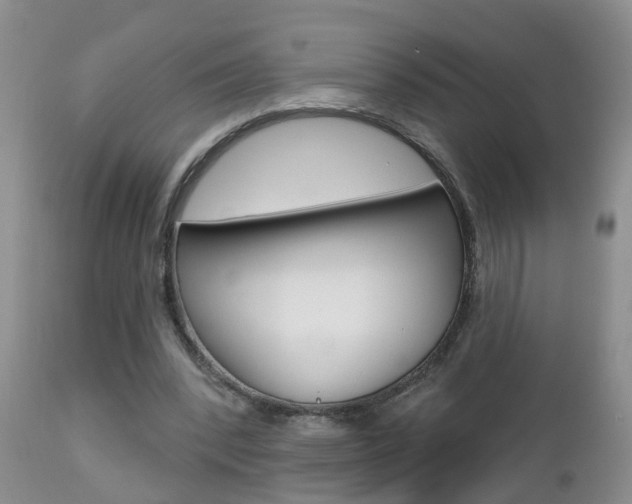 X0000112800392200908211008