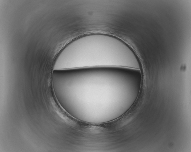 X0000112800393200908211008