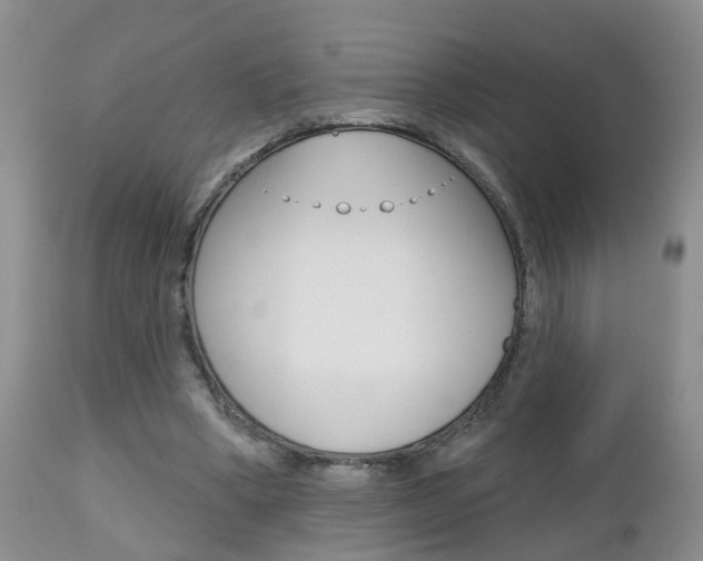 X0000112800394200908211008