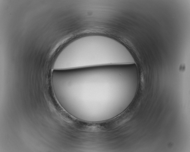 X0000112800396200908211008