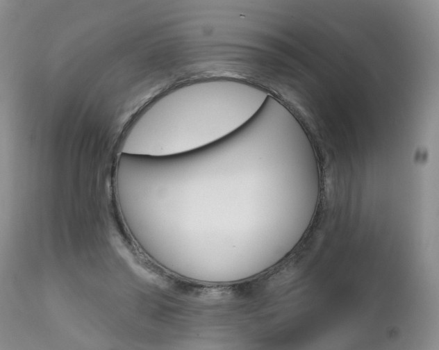 X0000112800398200908211008