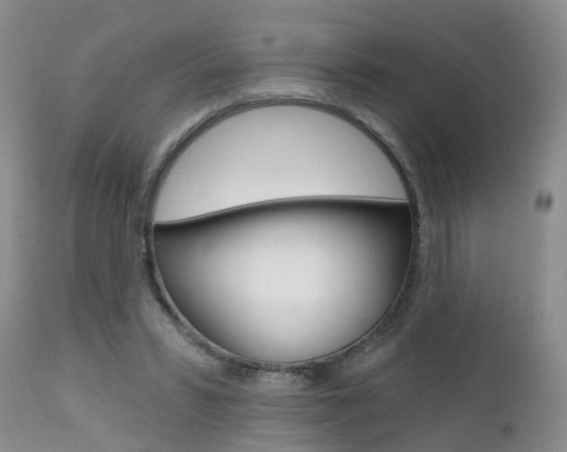 X0000112800399200908211008