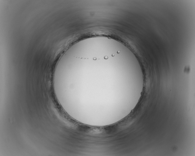 X0000112800402200908211007