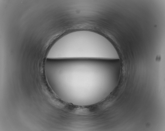 X0000112800403200908211007