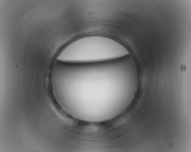 X0000112800404200908211007