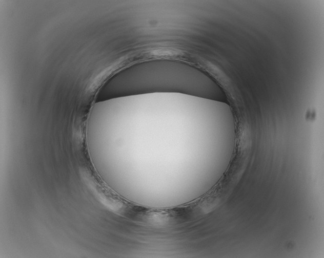 X0000112800405200908211007