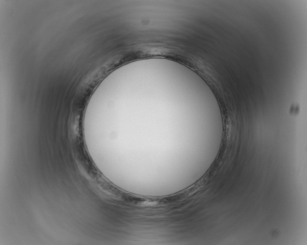X0000112800406200908211007