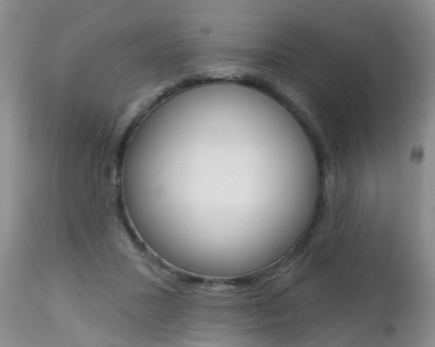 X0000112800407200908211007