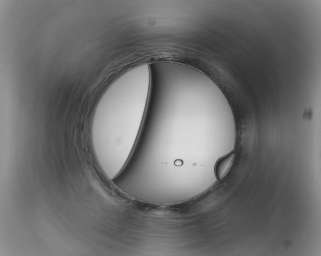 X0000112800408200908211007
