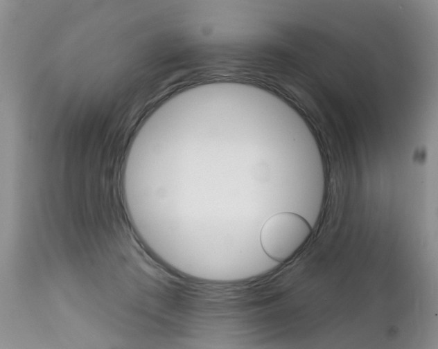 X0000112800409200908211007