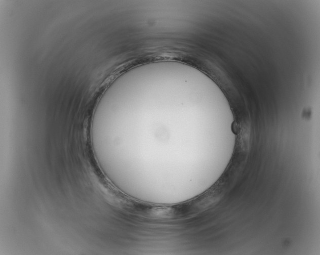 X0000112800410200908211007