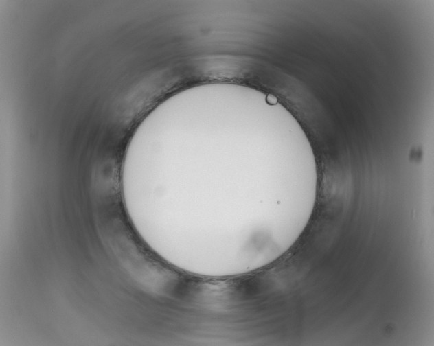 X0000112800411200908211007