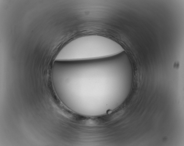 X0000112800412200908211007