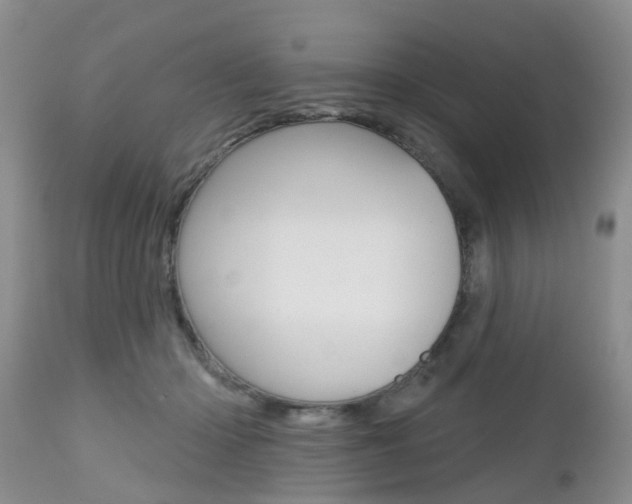 X0000112800414200908211007