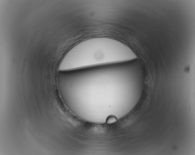 X0000112800416200908211007