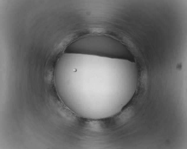 X0000112800417200908211007