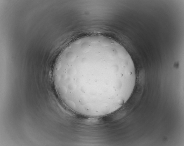 X0000112800418200908211007
