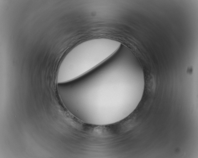 X0000112800420200908211007