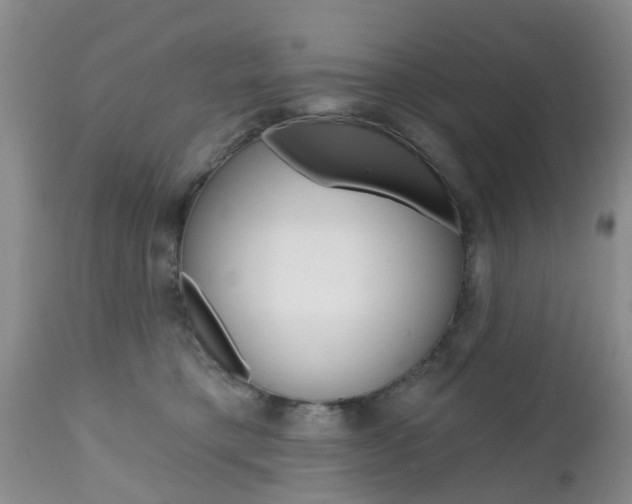 X0000112800421200908211007