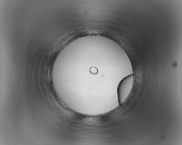 X0000112800422200908211007